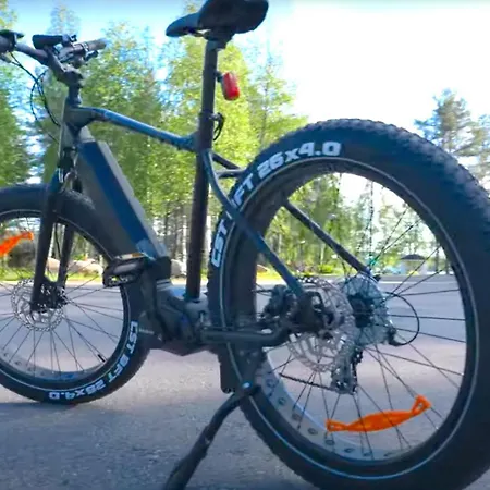 Palojaerven Сонка