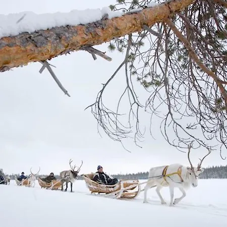 Palojaerven Дом отдыха Сонка