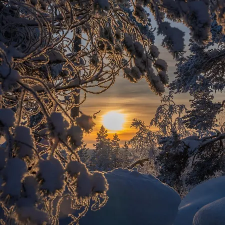 Palojaerven Сasa de vacaciones