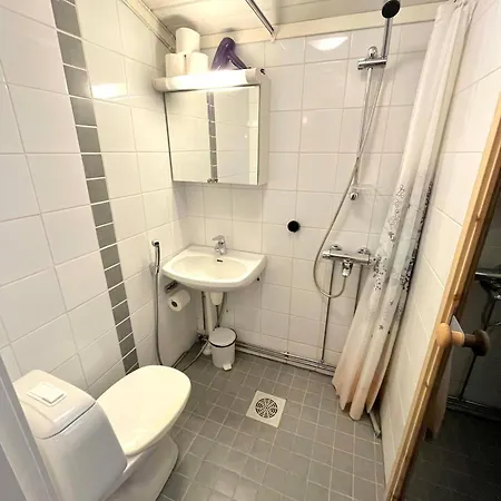 Palojaerven Сонка