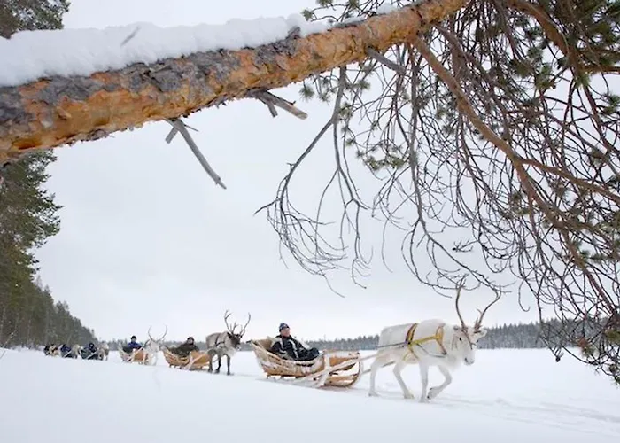 Palojaerven Casa de Férias Sonka